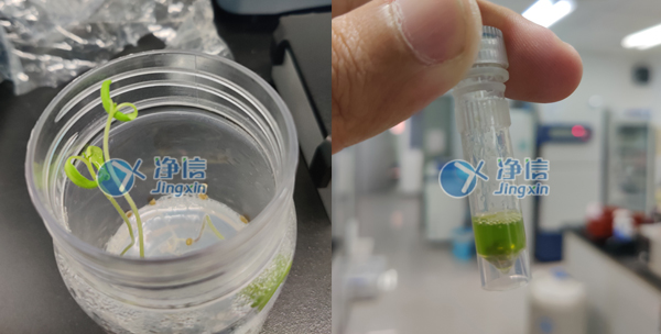 1646370591697668.jpg 33.jpg